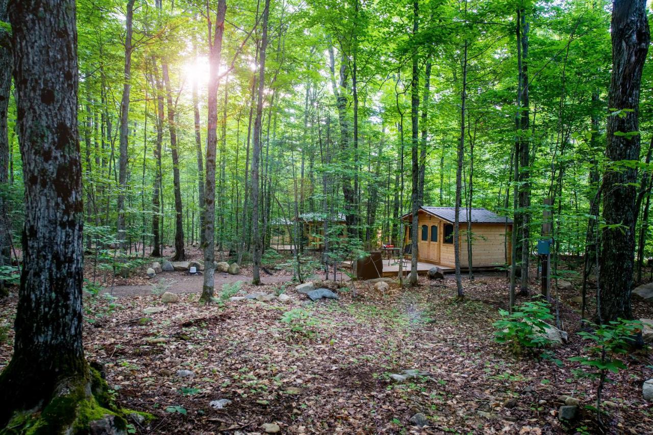 Madawaska Lodge-Cottage Dış mekan fotoğraf