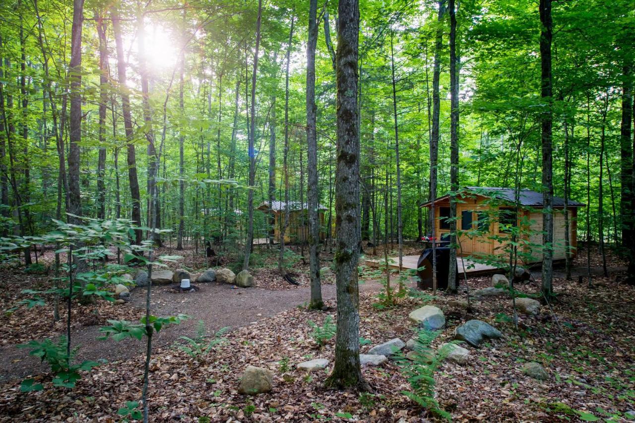 Madawaska Lodge-Cottage Dış mekan fotoğraf