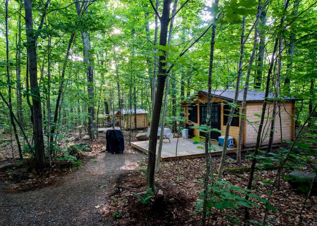 Madawaska Lodge-Cottage Dış mekan fotoğraf
